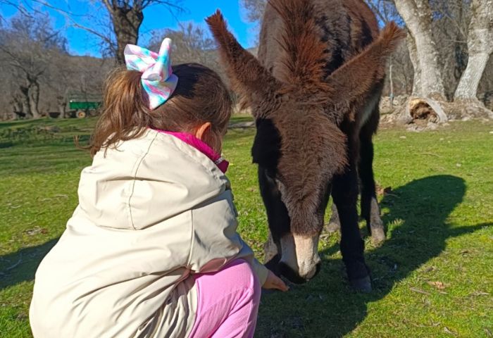 niña junto a un burro