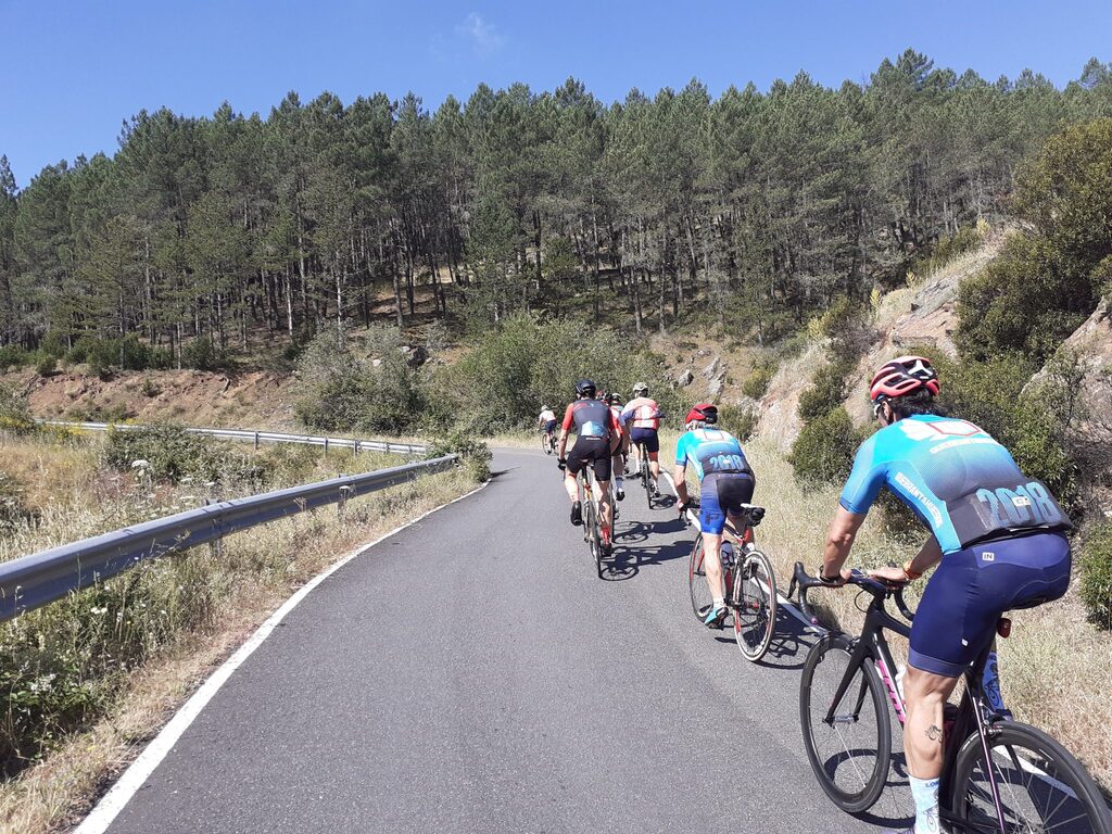 Ciclistas en la carretera montando sus bicicletas bajo un cielo despejado.