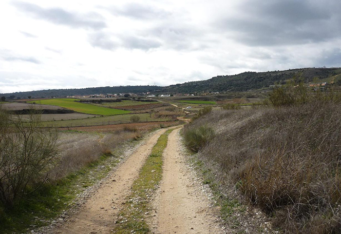 Vista de un camino de tierra rodeado de campos y colinas, conocido como Camino Mendocino.