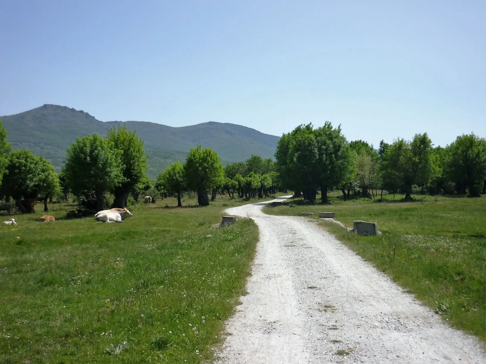 Camino por la ruta natural del valle del lozoya