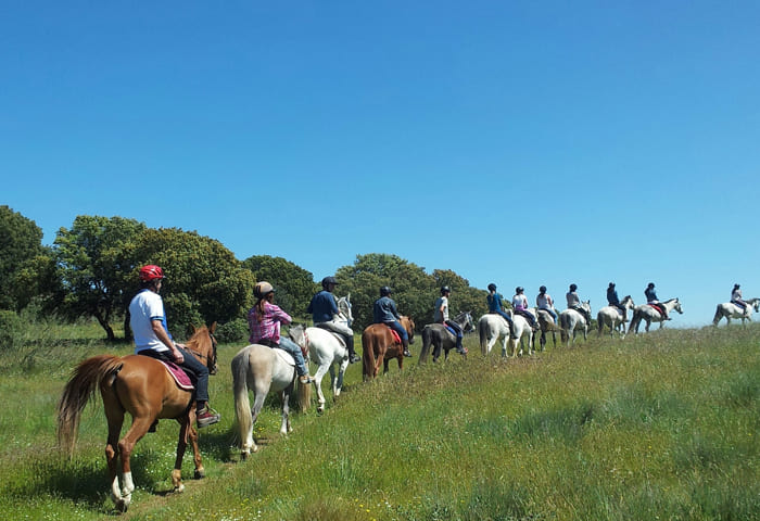 ruta a caballo por una pradera verde