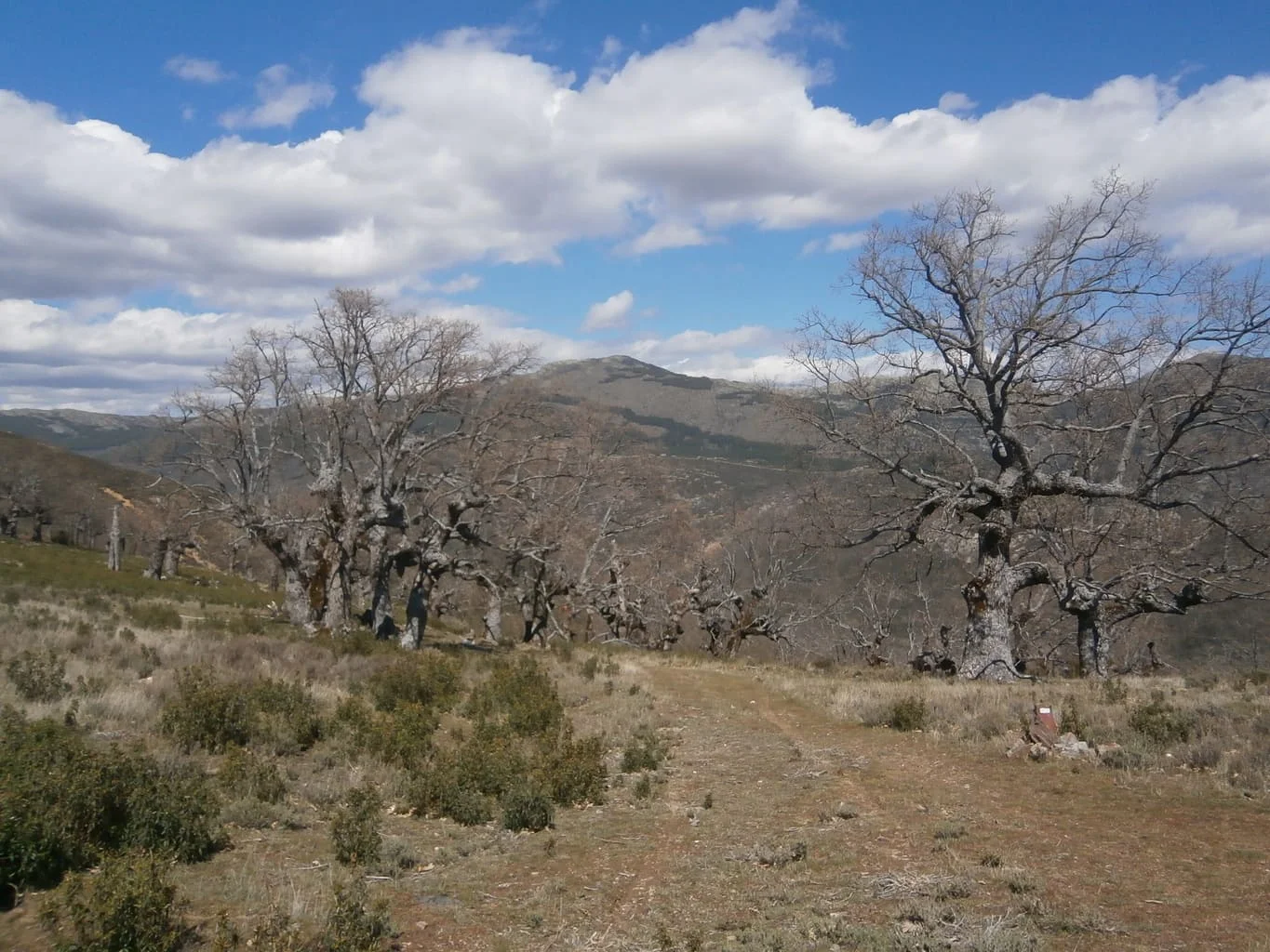 Senderismo en Cerro Larda