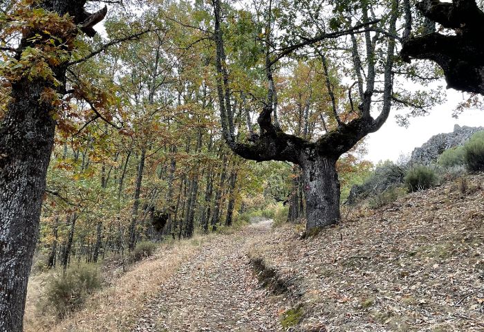 camino montañoso de la ruta del cartero