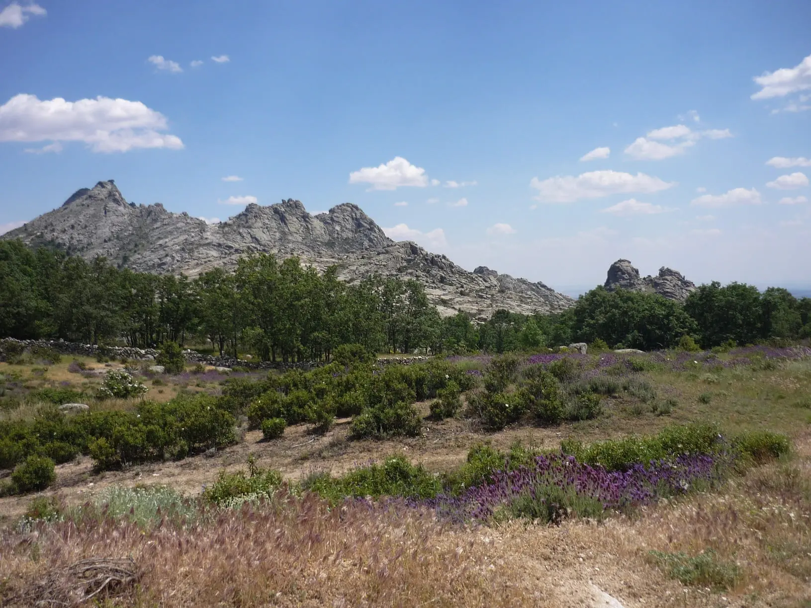 Ruta de medio recorrido en la cañada real segoviana