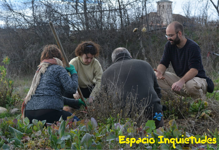 imagen relacionada con la agricultura ecológica en Espacio Inquietudes