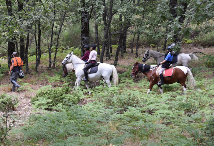 personas a caballo en la cuadra Las Beceas