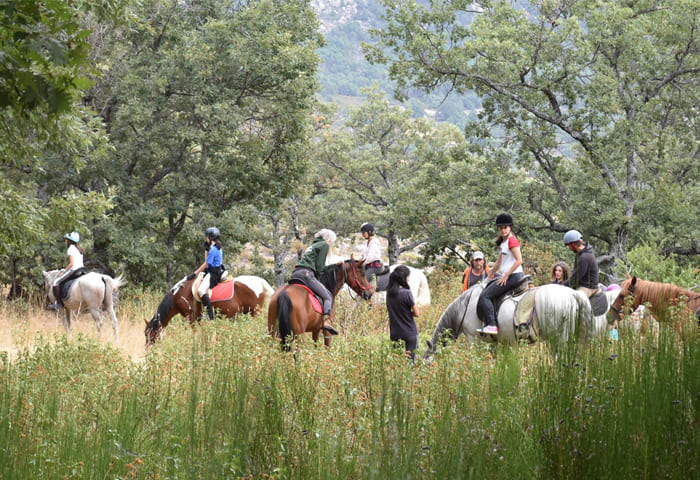 paseos y rutas a caballo en el valle de Bustarviejo