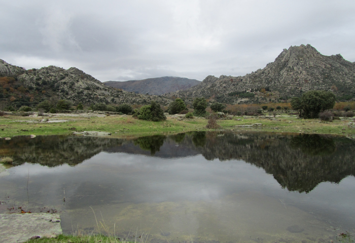 Vista de un monte al fondo en la Sierra de la Cabrera.