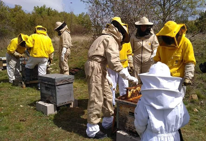 persona participando en la experiencia de apicultor por un día en El Jabardo