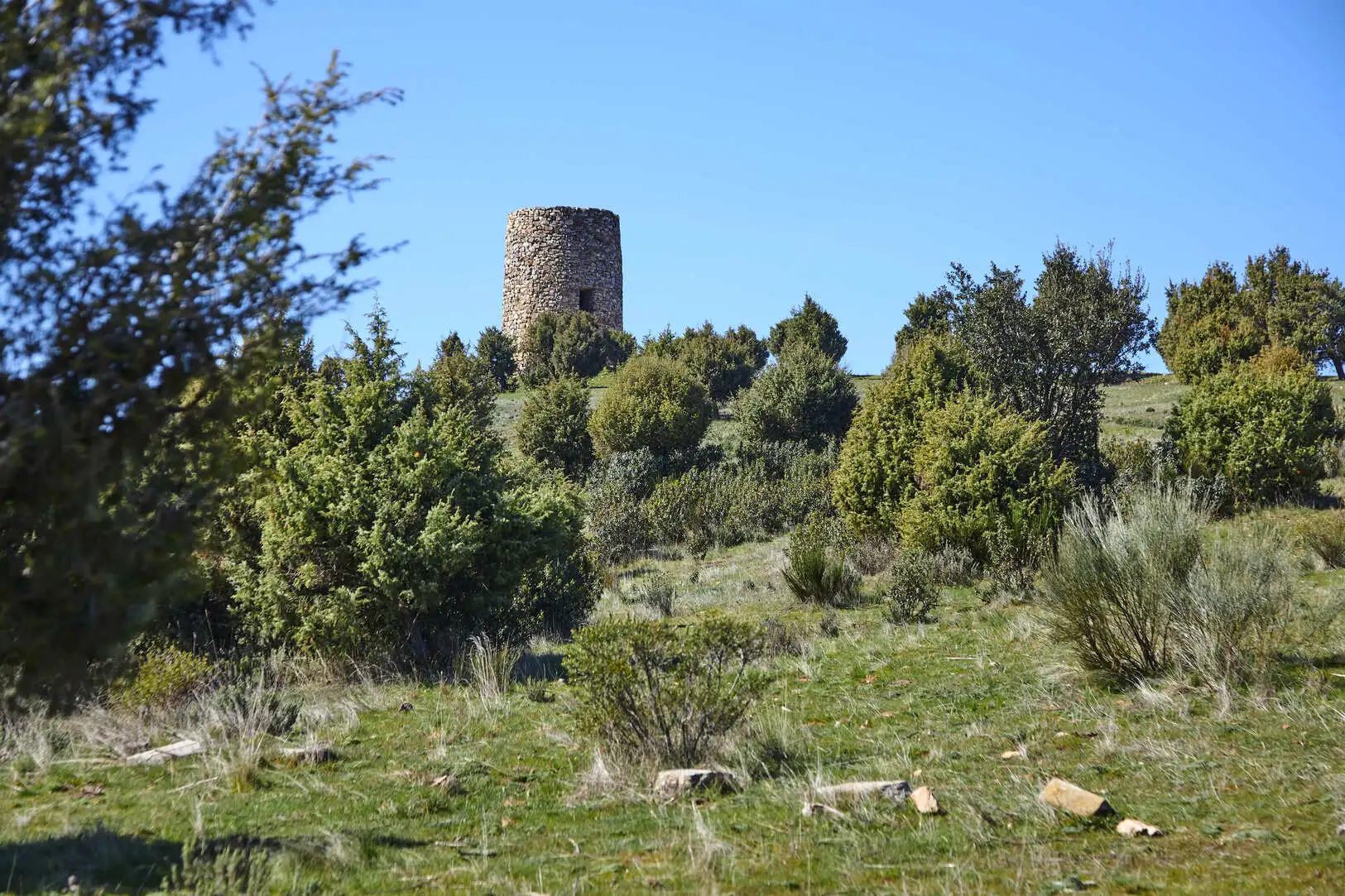 Torre antigua