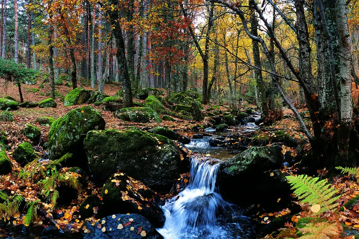 Montejo de la Sierra