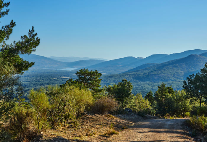 robledos1