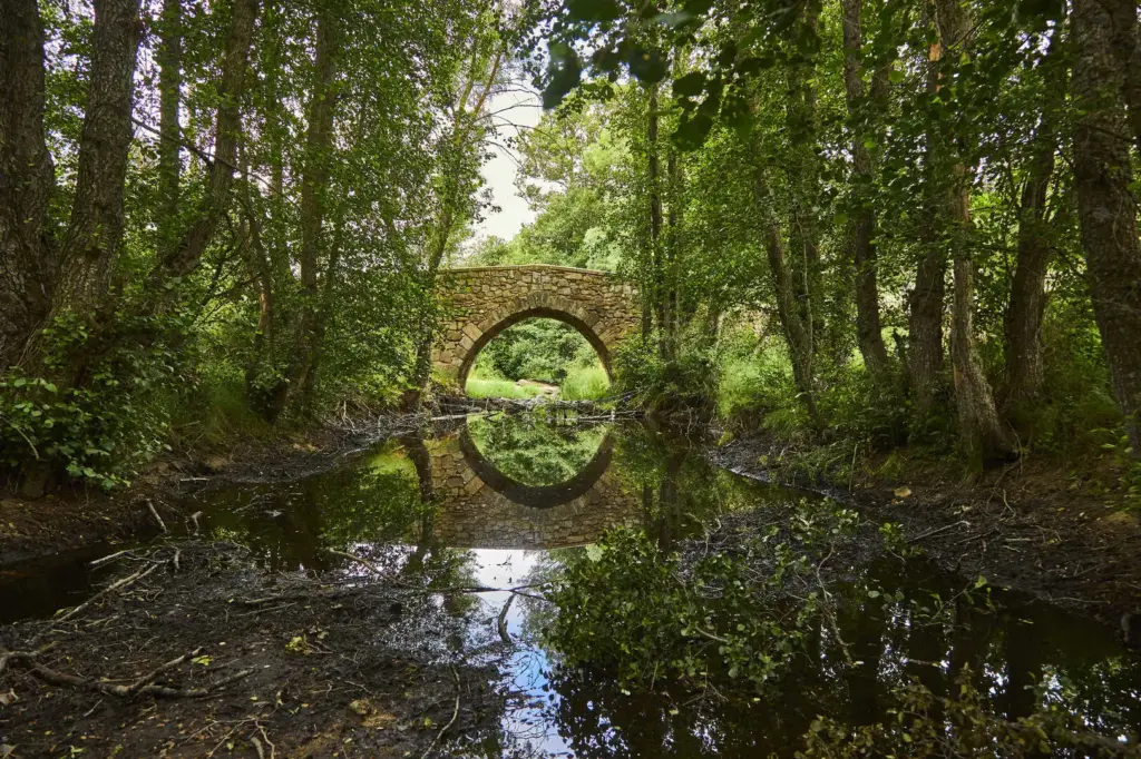 Arco puente