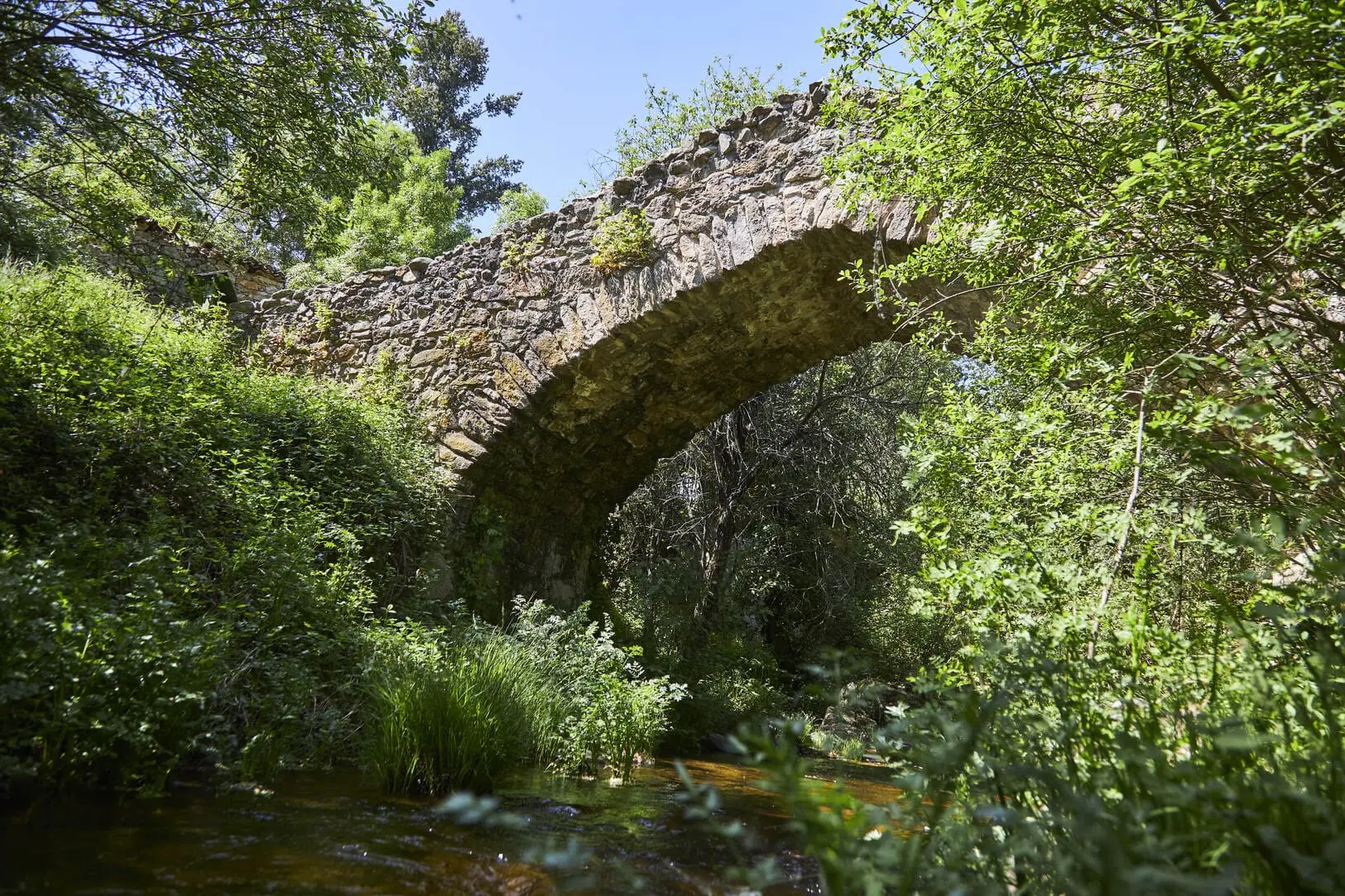 Puente alto