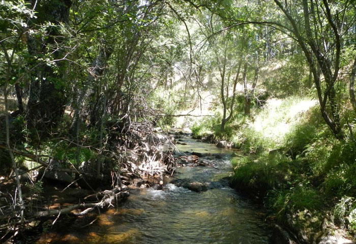 alberca-tejera-rio