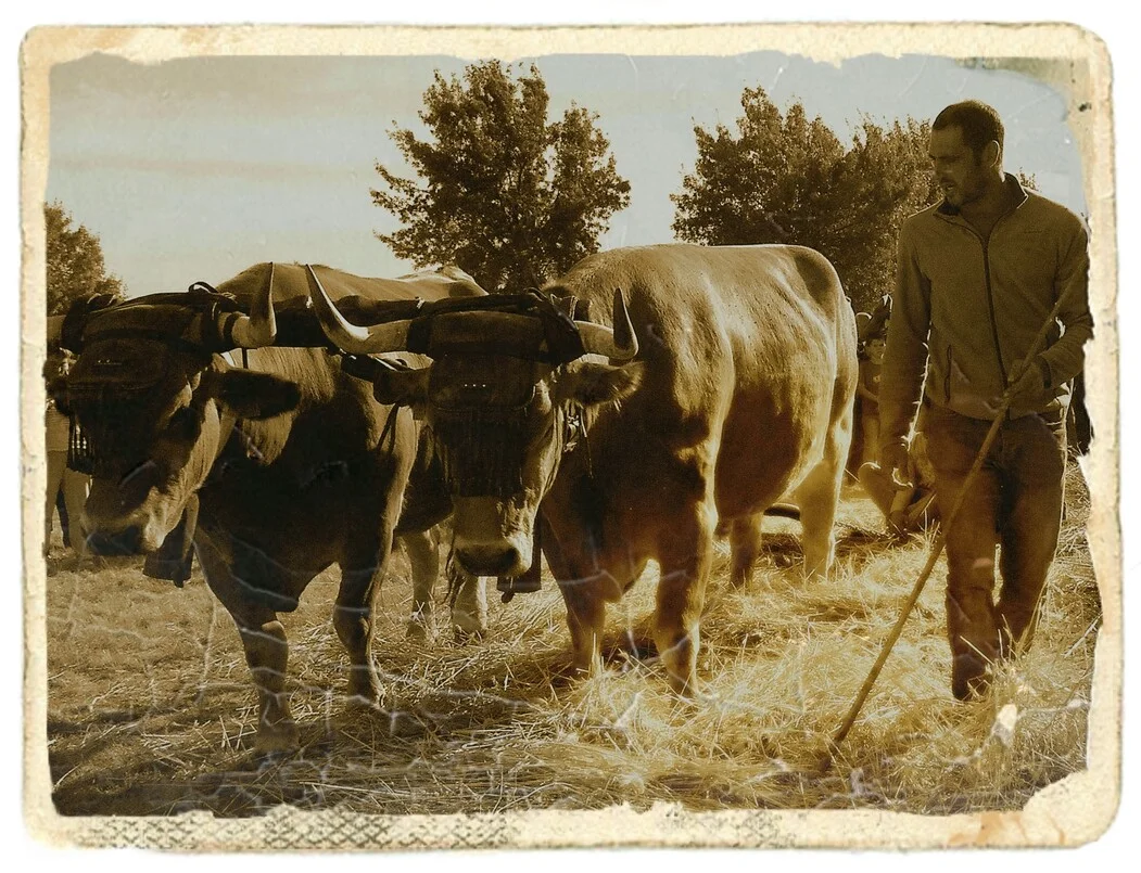 feria-agroecológica