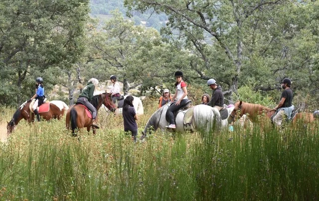 cuadra-las-beceas