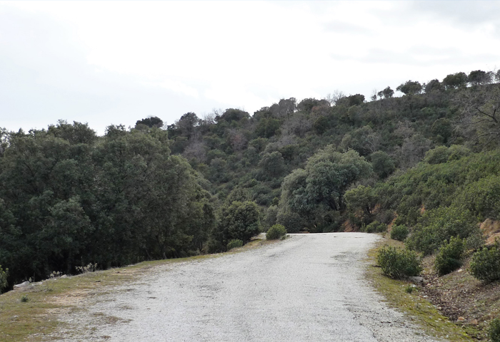 Ruta senda para todos