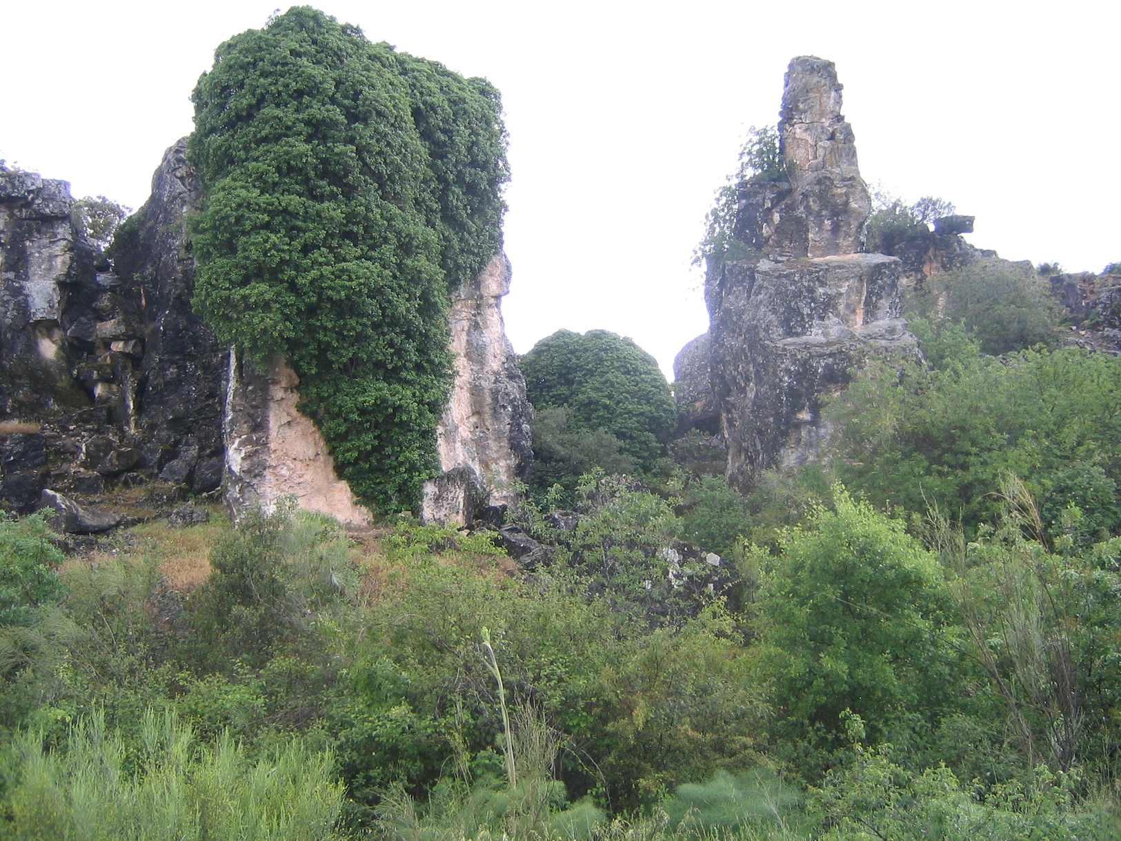 Montañas verdes