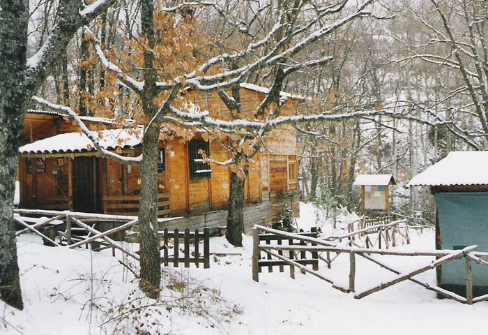 alojamientos-puebla-de-la-sierra-el-molino-de-arriba-nieve