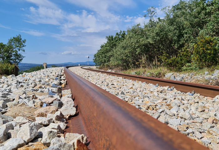 Ruta Cruce memoria histórica y naturaleza