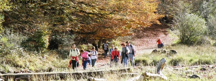 Rutas para Toda la Familia e1731070967230