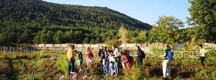 Turismo Sostenible y Conexion con la Naturaleza e1730821991199