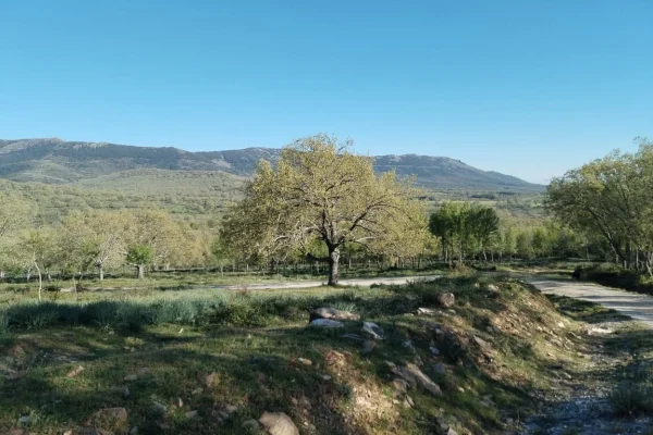 Ruta por la Dehesa Boyal de Montejo